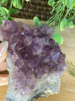 Load image into Gallery viewer, Amethyst Cluster
