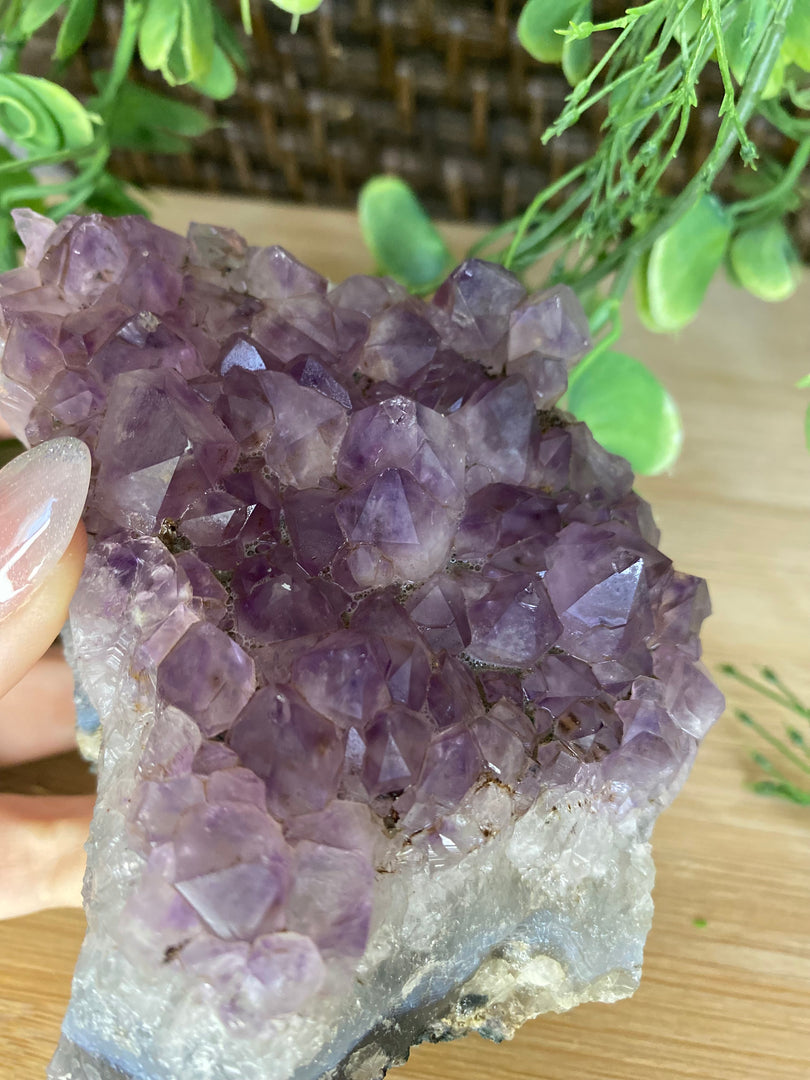 Amethyst Cluster