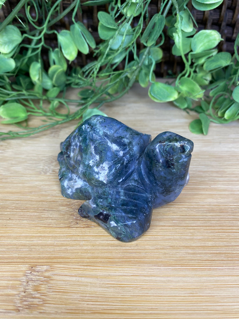 Moss Agate Turtle