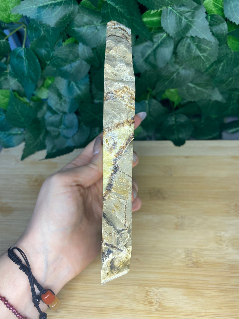 Septarian Slice Slab