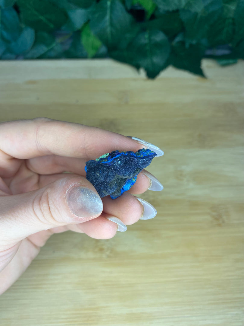 Azurite avec spécimens de malachite