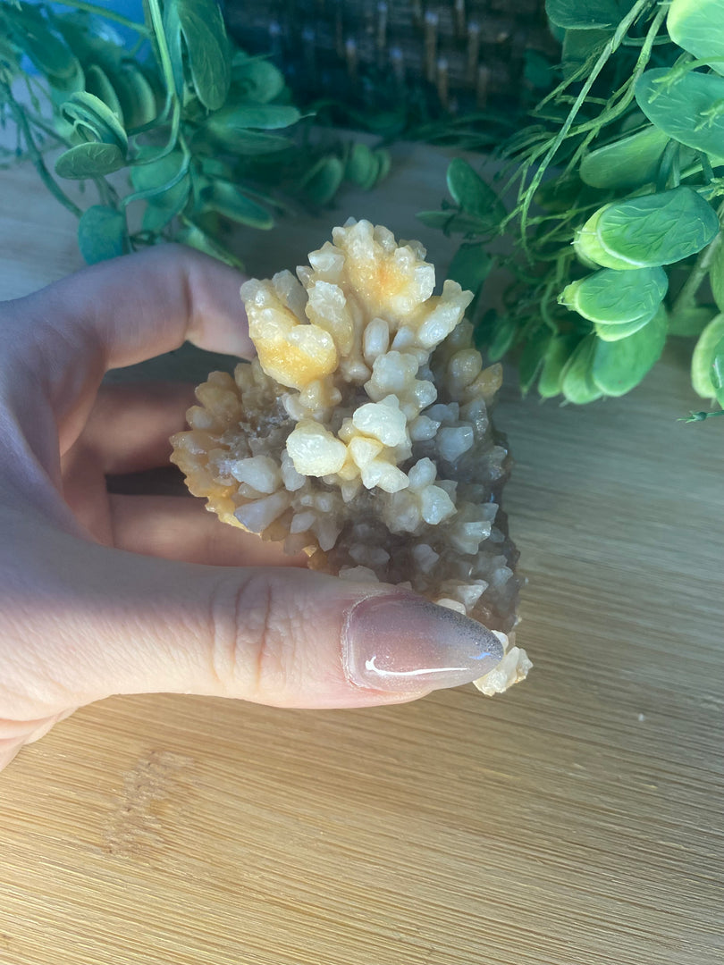 Stalactite Specimens