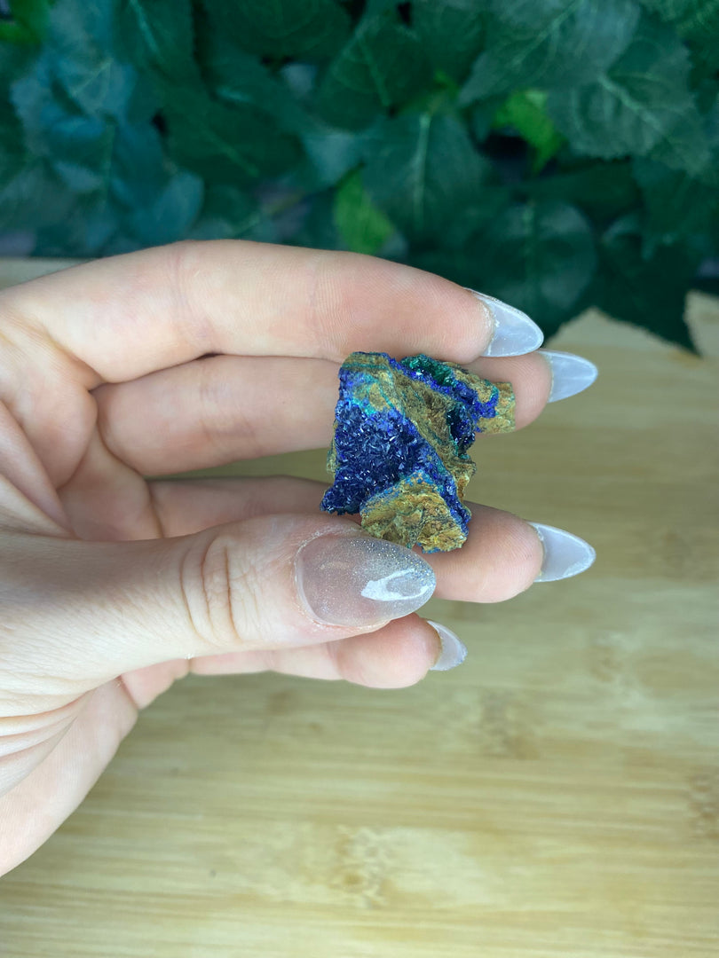 Azurite avec spécimens de malachite