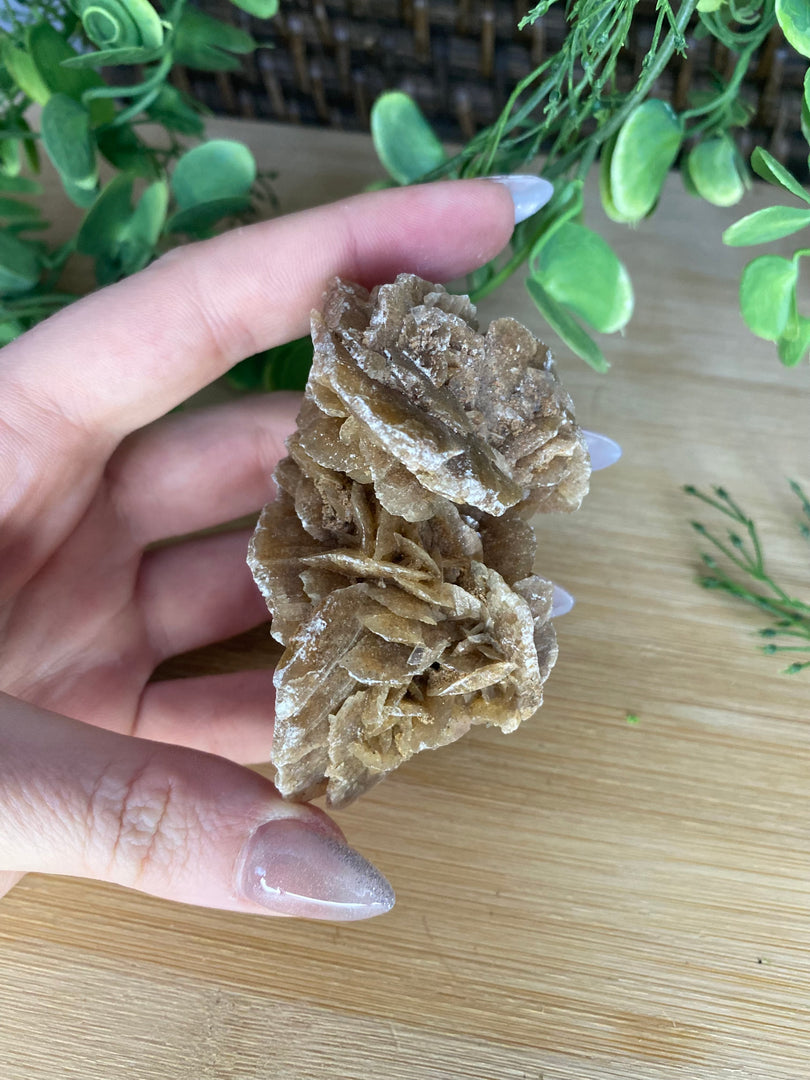 Desert Rose Specimen