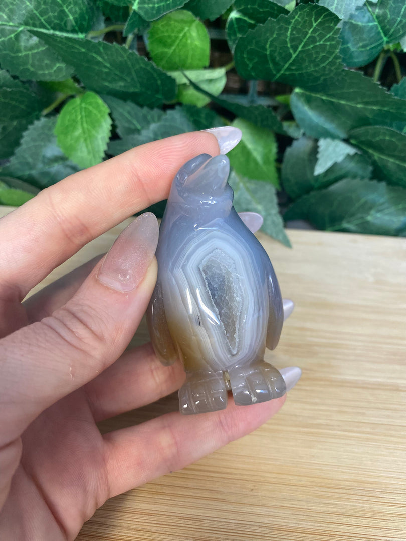 Agate Penguin with Druzy