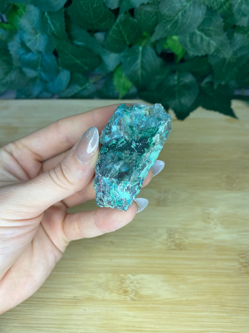 Spécimen Malachite Chrysocolla Druzy