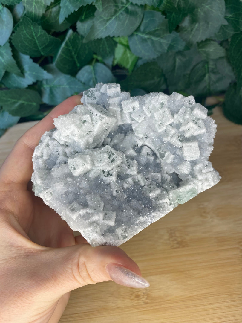 Spécimens de cubes de sucre en fluorite