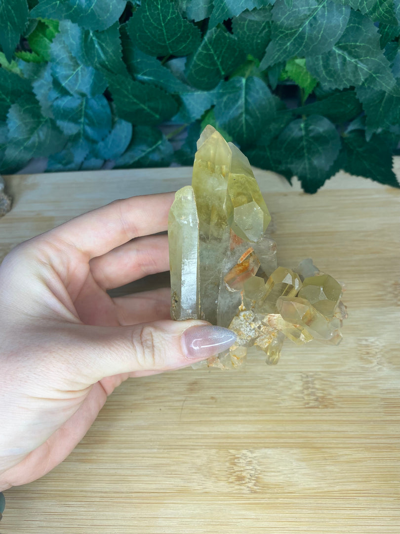 Citrine Clusters