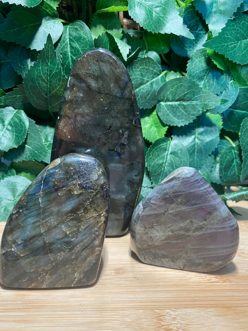 Forme libre de labradorite