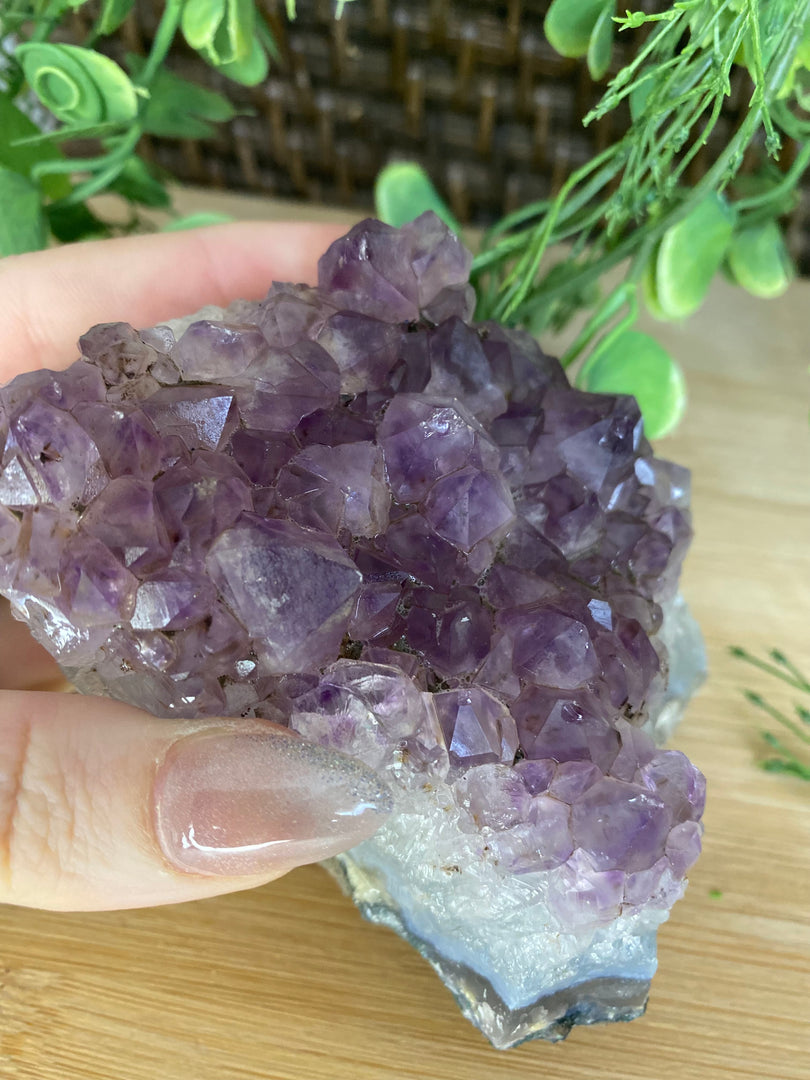 Amethyst Cluster