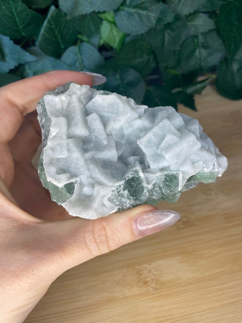 Spécimens de cubes de sucre en fluorite