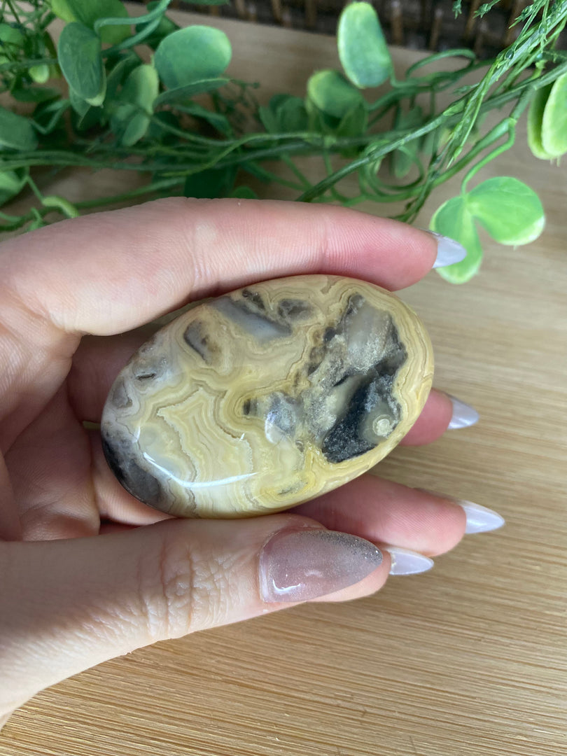 Crazy Lace Agate Palm Stone