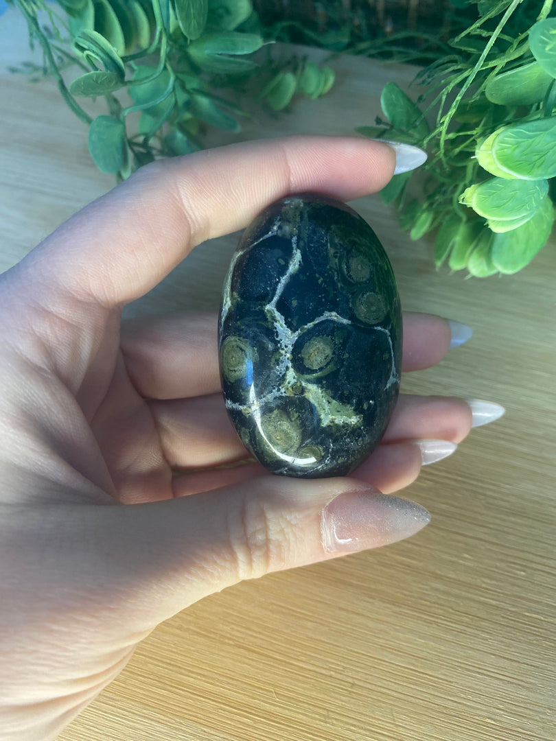 Kambaba Crocodile Jasper Palm Stone