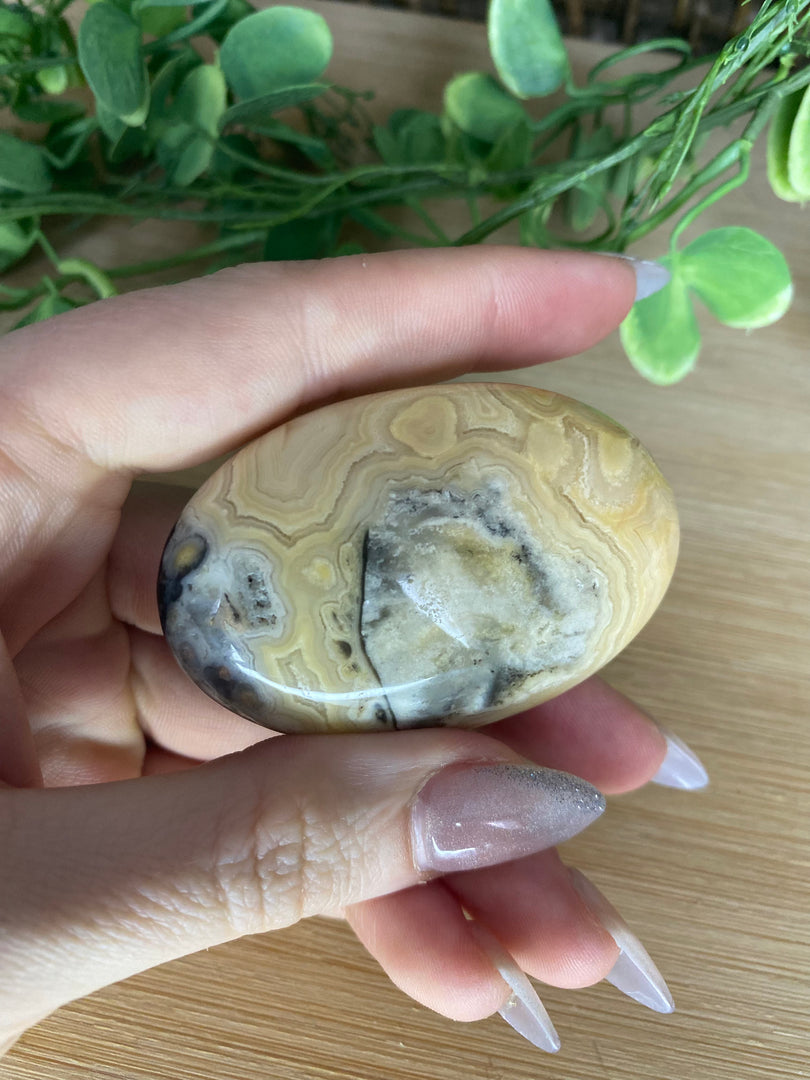 Crazy Lace Agate Palm Stone