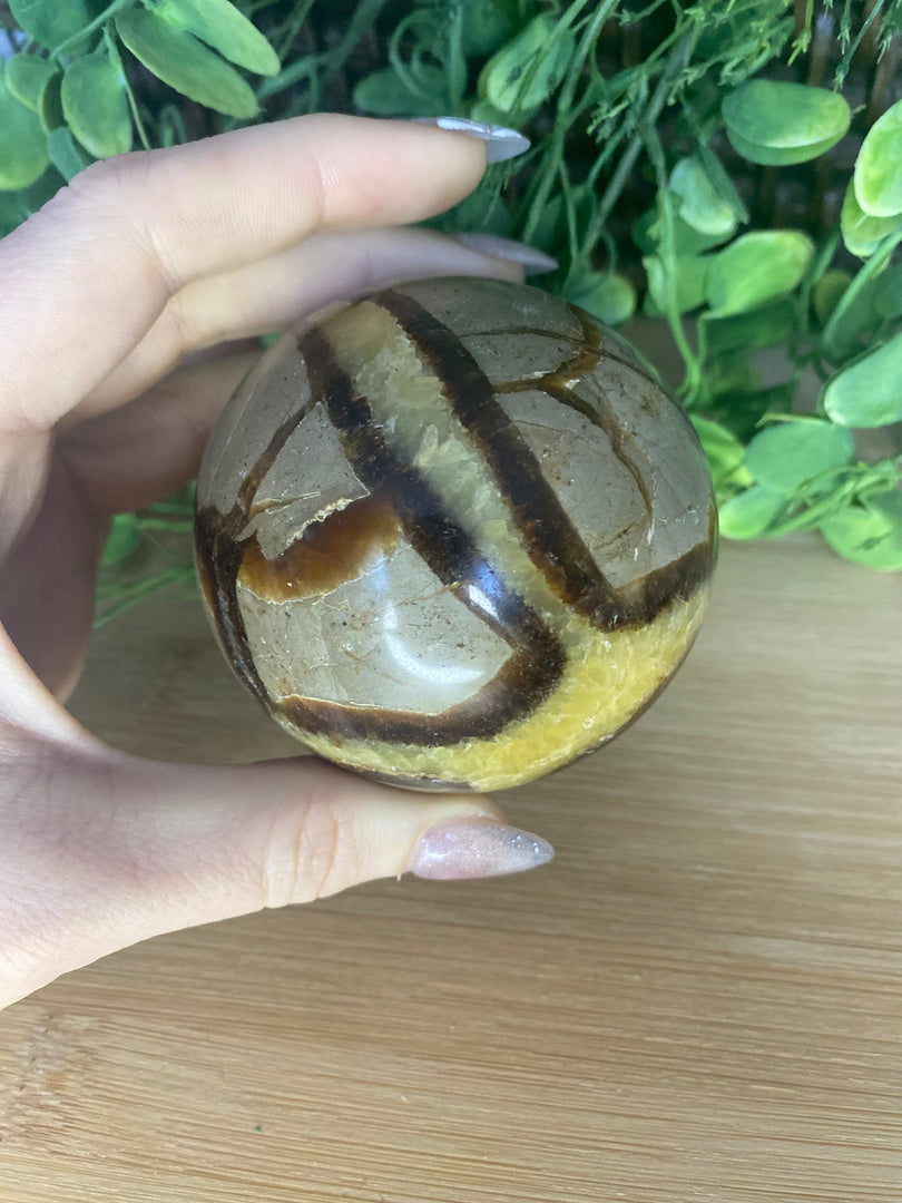 Septarian Spheres