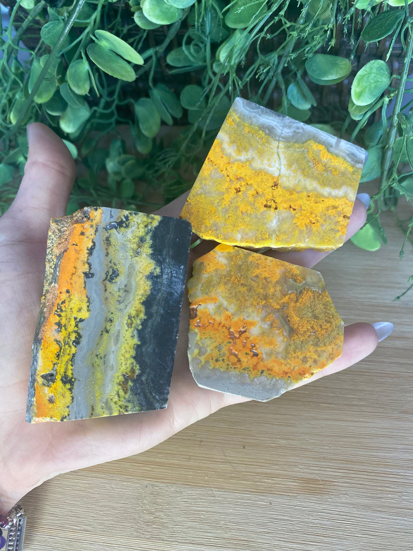 Bumblebee Jasper Slice Slab