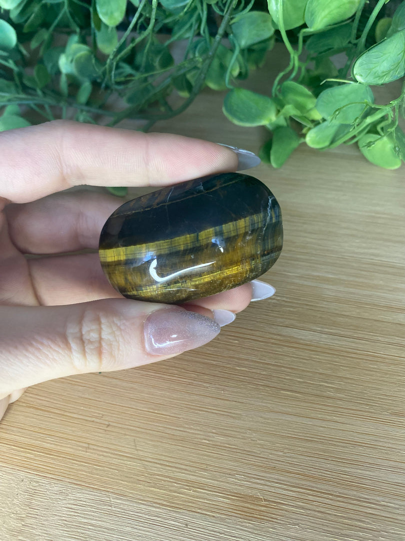 Tiger's Eye Palm Stone