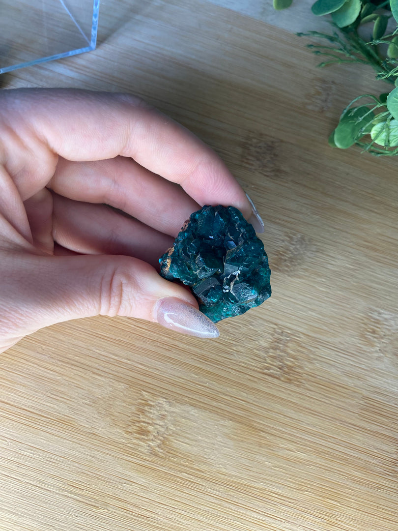 Spécimen de dioptase