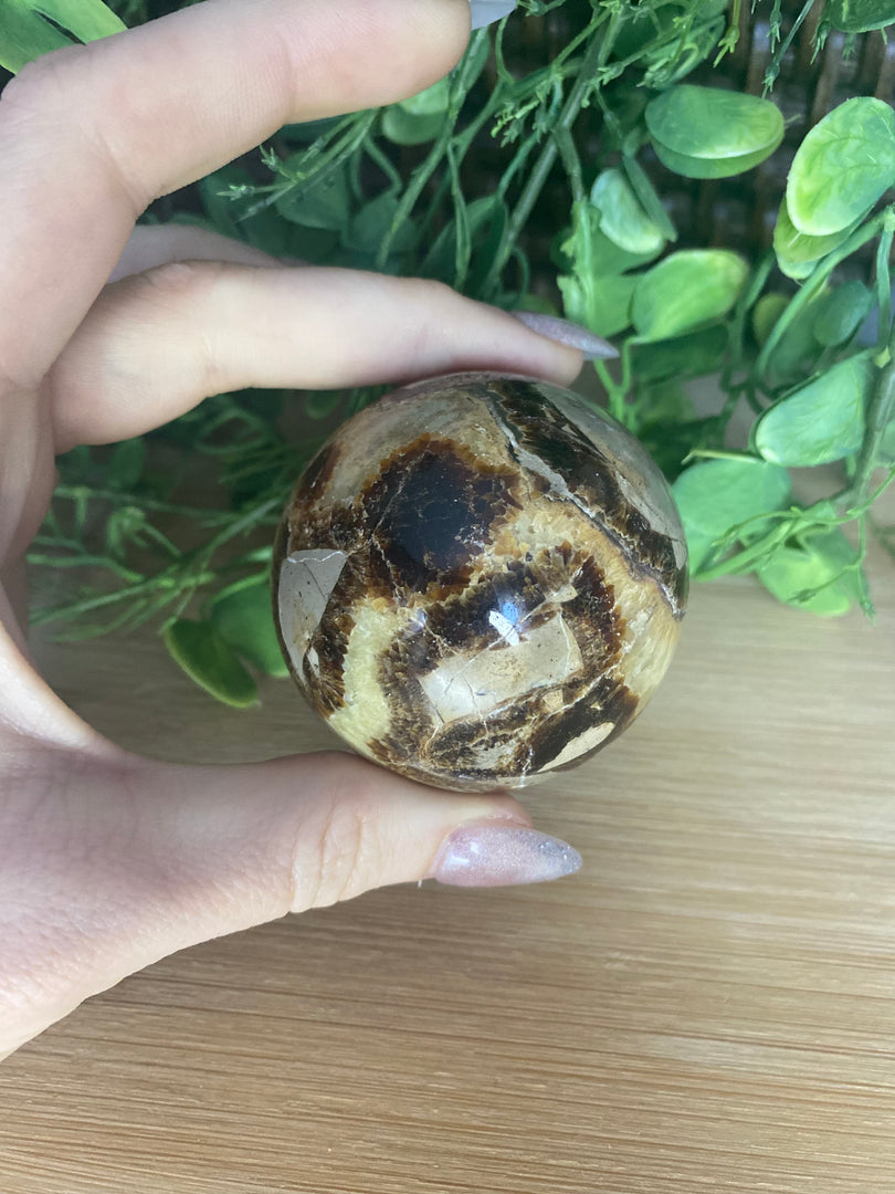 Septarian Spheres