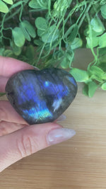 Chargez et lisez la vidéo dans la visionneuse Galerie, Coeurs de labradorites
