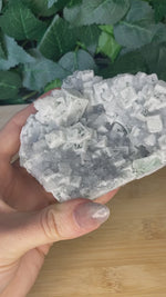 Load and play video in Gallery viewer, Fluorite Sugar Cube Specimens
