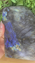 Load and play video in Gallery viewer, Labradorite Slice Slab
