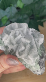 Load and play video in Gallery viewer, Fluorite Sugar Cube Specimens
