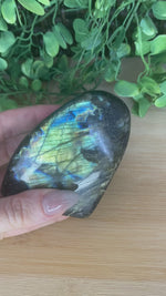 Chargez et lisez la vidéo dans la visionneuse Galerie, Forme libre de labradorite
